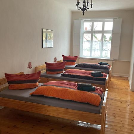 Haus 2 Linden Daire Lischow Dış mekan fotoğraf